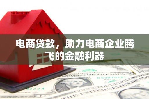 长垣电商贷款，助力电商企业腾飞的金融利器