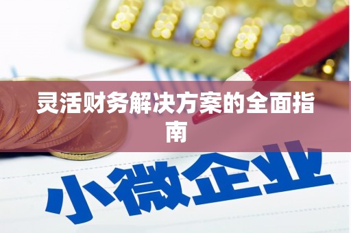 长垣灵活财务解决方案的全面指南
