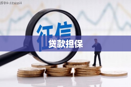 长垣贷款担保