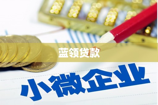 长垣蓝领贷款