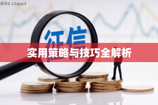 长垣实用策略与技巧全解析