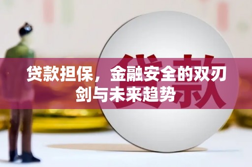 长垣贷款担保，金融安全的双刃剑与未来趋势