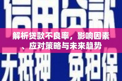 长垣解析贷款不良率，影响因素、应对策略与未来趋势