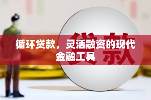 长垣循环贷款，灵活融资的现代金融工具