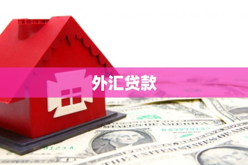 长垣外汇贷款