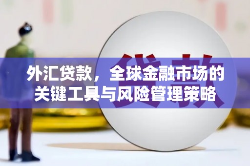 长垣外汇贷款，全球金融市场的关键工具与风险管理策略