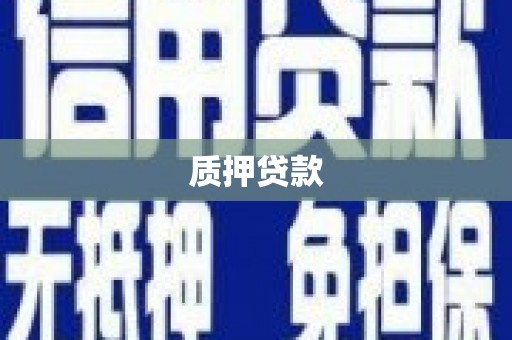 长垣质押贷款