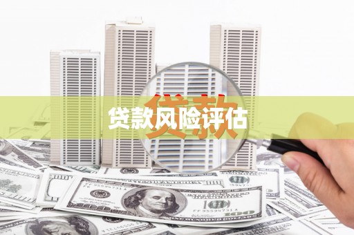 长垣贷款风险评估