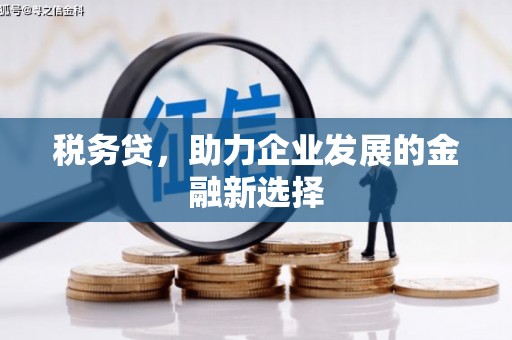 长垣税务贷，助力企业发展的金融新选择