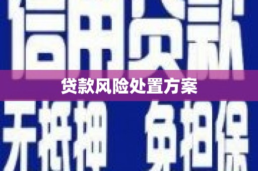 长垣贷款风险处置方案