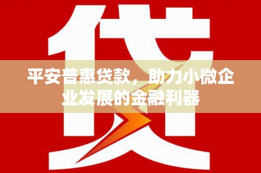 长垣平安普惠贷款，助力小微企业发展的金融利器