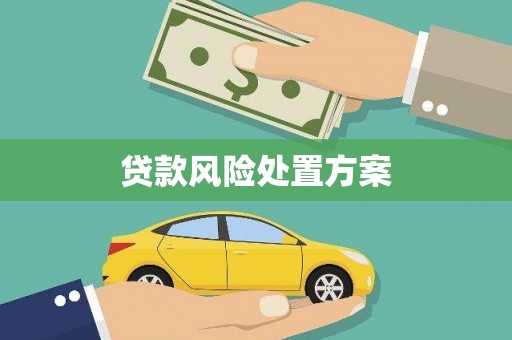 长垣贷款风险处置方案