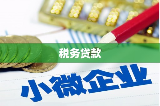 长垣税务贷款