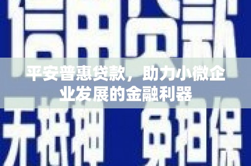 长垣平安普惠贷款，助力小微企业发展的金融利器