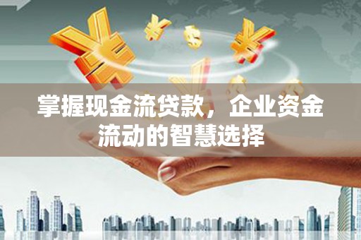 长垣掌握现金流贷款，企业资金流动的智慧选择