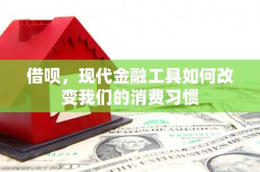 长垣借呗，现代金融工具如何改变我们的消费习惯