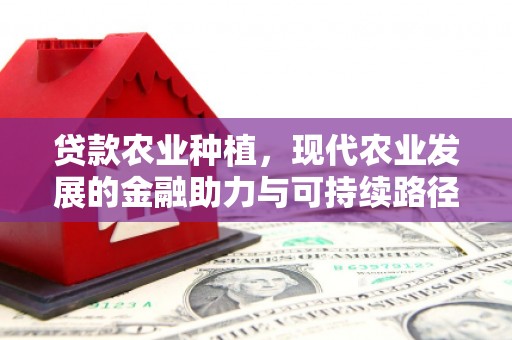 长垣贷款农业种植，现代农业发展的金融助力与可持续路径