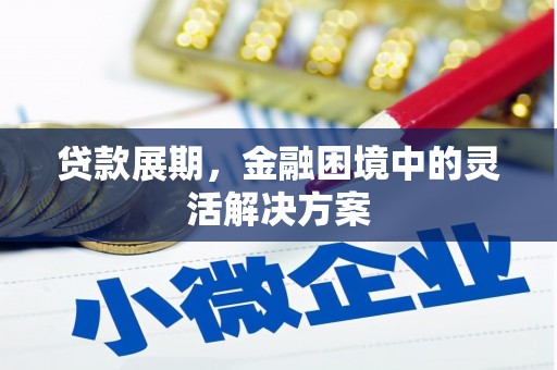 长垣贷款展期，金融困境中的灵活解决方案
