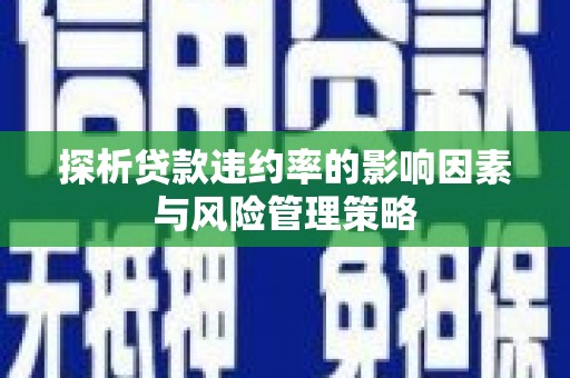 长垣探析贷款违约率的影响因素与风险管理策略