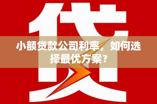长垣小额贷款公司利率，如何选择最优方案？