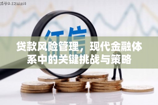 长垣贷款风险管理，现代金融体系中的关键挑战与策略