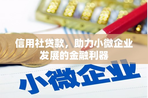 长垣信用社贷款，助力小微企业发展的金融利器