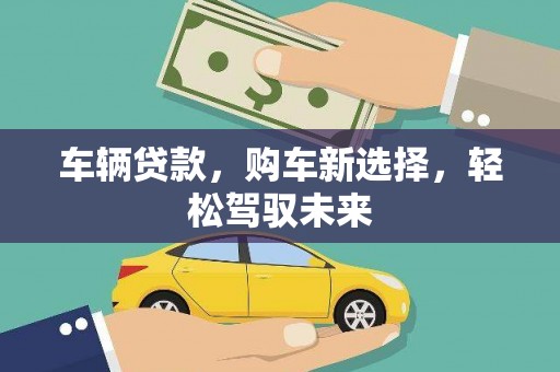 长垣车辆贷款，购车新选择，轻松驾驭未来
