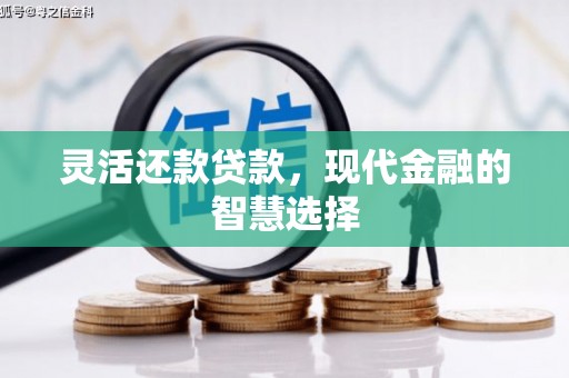 长垣灵活还款贷款，现代金融的智慧选择