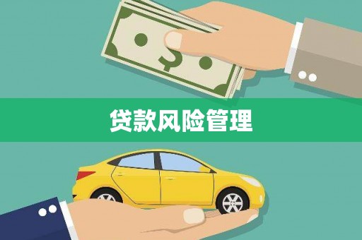 长垣贷款风险管理