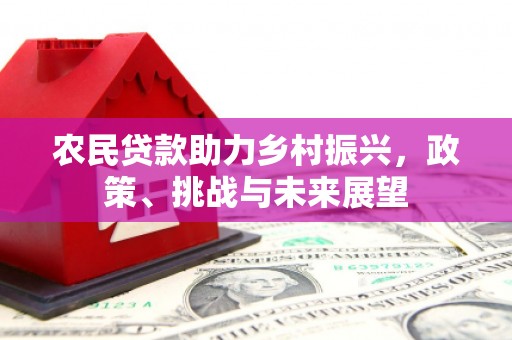 长垣农民贷款助力乡村振兴，政策、挑战与未来展望