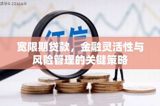 长垣宽限期贷款，金融灵活性与风险管理的关键策略