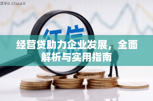 长垣经营贷助力企业发展，全面解析与实用指南