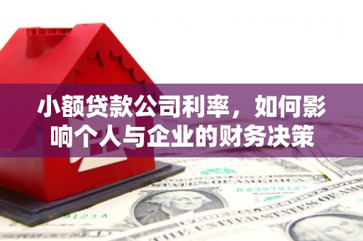 长垣小额贷款公司利率，如何影响个人与企业的财务决策