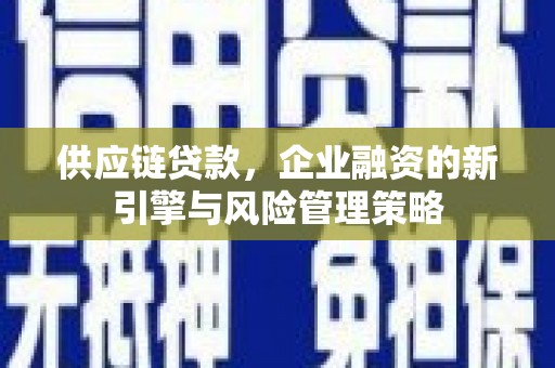 长垣供应链贷款，企业融资的新引擎与风险管理策略