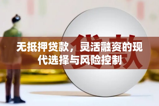 长垣无抵押贷款，灵活融资的现代选择与风险控制