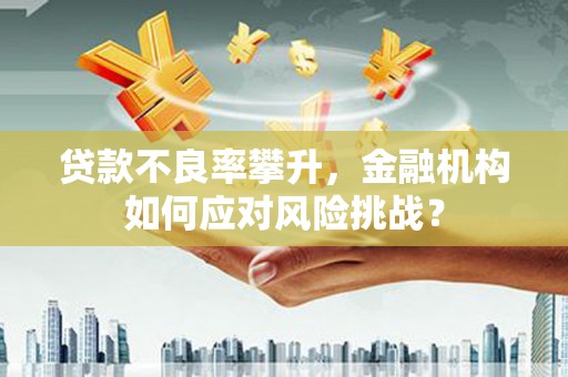 长垣贷款不良率攀升，金融机构如何应对风险挑战？