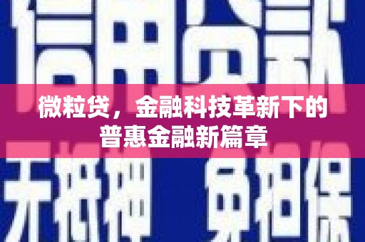长垣微粒贷，金融科技革新下的普惠金融新篇章
