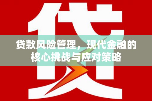 长垣贷款风险管理，现代金融的核心挑战与应对策略