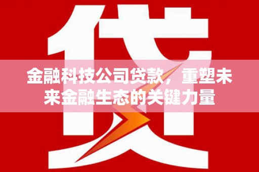 长垣金融科技公司贷款，重塑未来金融生态的关键力量