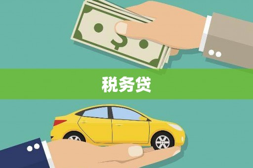 长垣税务贷