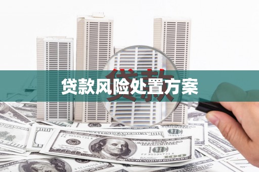 长垣贷款风险处置方案