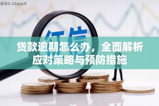长垣贷款逾期怎么办，全面解析应对策略与预防措施