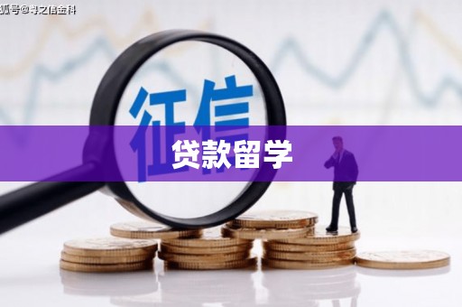 长垣贷款留学