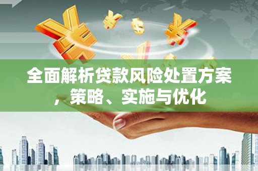 长垣全面解析贷款风险处置方案，策略、实施与优化