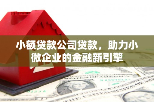 长垣小额贷款公司贷款，助力小微企业的金融新引擎