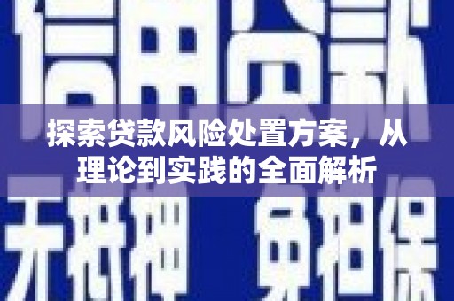 长垣探索贷款风险处置方案，从理论到实践的全面解析