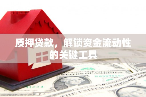 长垣质押贷款，解锁资金流动性的关键工具