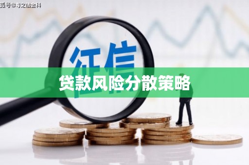 长垣贷款风险分散策略