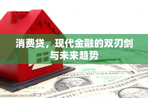 长垣消费贷，现代金融的双刃剑与未来趋势