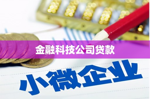长垣金融科技公司贷款